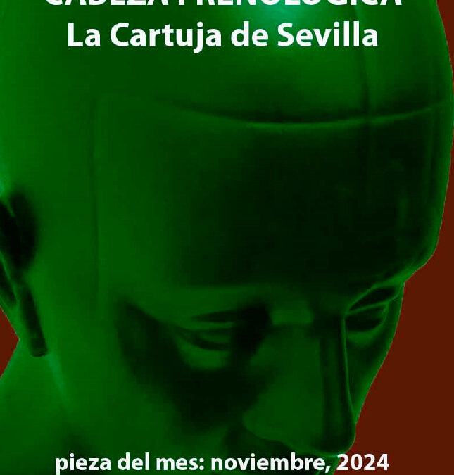 Pieza del mes. Noviembre 2024. Cabeza frenológica. La Cartuja de Sevilla.